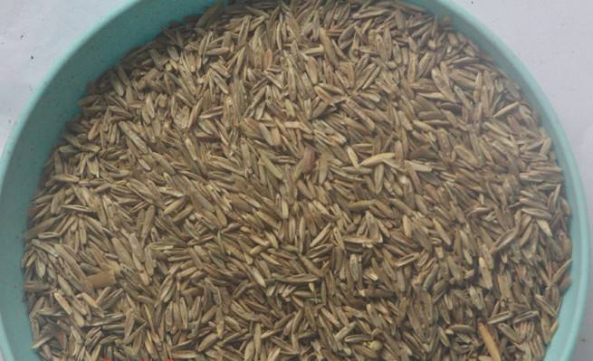 長(zhǎng)沙東日?qǐng)@林工程有限公司,長(zhǎng)沙園林綠化工程,長(zhǎng)沙綠化養(yǎng)護(hù)管理 長(zhǎng)沙東日?qǐng)@林工程有限公司,長(zhǎng)沙園林綠化工程,長(zhǎng)沙綠化養(yǎng)護(hù)管理