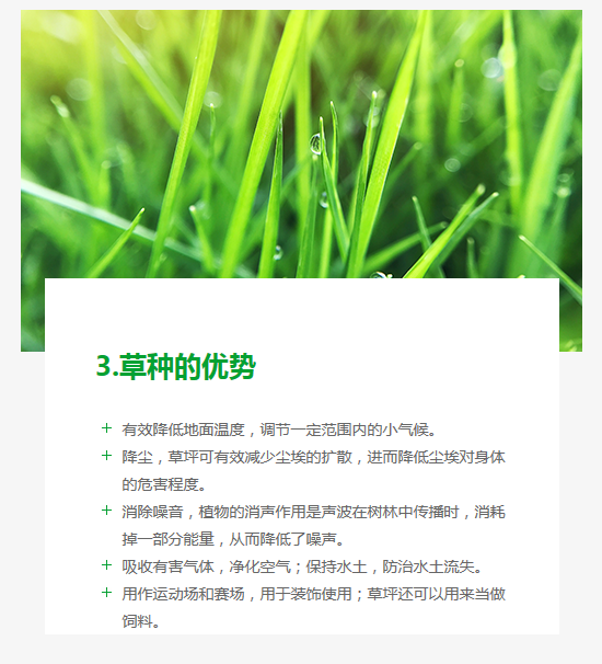 長沙東日園林工程有限公司,長沙園林綠化工程,長沙綠化養(yǎng)護(hù)管理 長沙東日園林工程有限公司,長沙園林綠化工程,長沙綠化養(yǎng)護(hù)管理